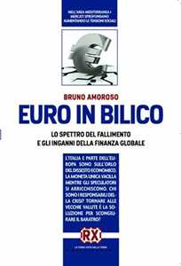 Libro Euro in bilico. Lo spettro del fallimento e gli inganni della finanza globale Bruno Amoroso