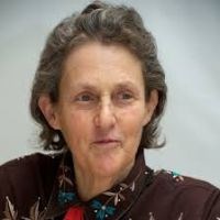 Ebook di Temple Grandin