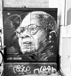 Libri usati di Césaire Aimé