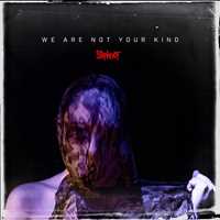 CD We Are Not Your Kind Slipknot