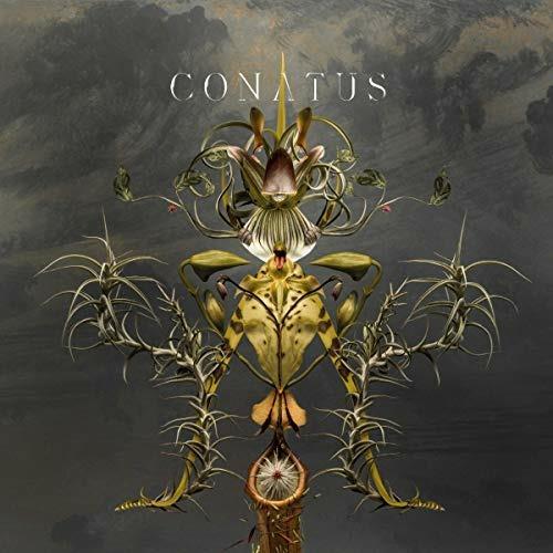 Conatus (Limited Edition) - CD Audio di Joep Beving