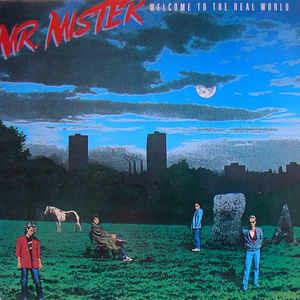 Welcome to the Real World - Vinile LP di Mr. Mister