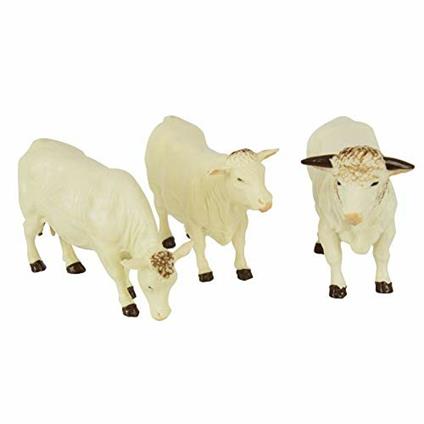 Bovini Charolais 43240