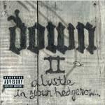 Down II - CD Audio di Down