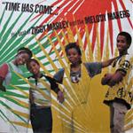 Time Has Come... - The Best Of Ziggy Marley And The Melody Makers