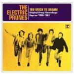 Too Much to Dream. Original Group Recordings 1966-1967