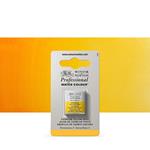 Acquarello Winsor & Newton Pwc 1/2 Godet – Giallo Di Cadmio Scuro