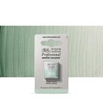 Acquarello Winsor & Newton Pwc 1/2 Godet – Terra Verde