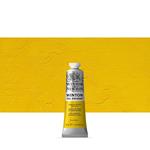 Colore A Olio Winton Winsor & Newton 37ml – Giallo Di Cadmio Chiaro Imitazione