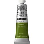 Winsor & Newton Winton 37 ml Tubo Verde