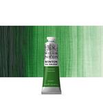 Colore A Olio Winton Winsor & Newton 37ml – Terra Verde