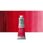 Colore A Olio Winton Winsor & Newton 37ml – Cremisi D''alizarina Permanente