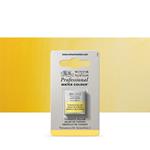 Acquarello Winsor & Newton Pwc 1/2 Godet – Giallo Di Turner