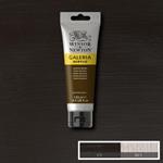 Acrilico Winsor & Newton Galeria 120ml – Bruno Van Dyck