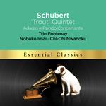 Trout Quintet-Adagio