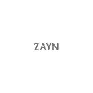 Icarus Falls - CD Audio di Zayn