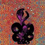 Amanita (25th Anniversary Purple Vinyl)