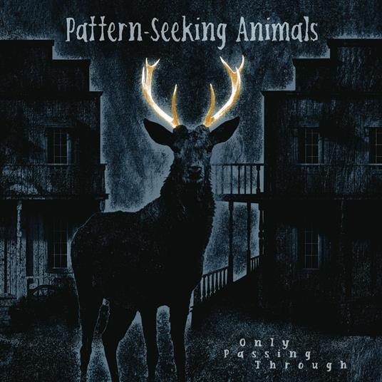 Only Passing Through - CD Audio di Pattern-Seeking Animals