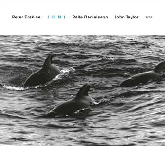 CD Juni Peter Erskine