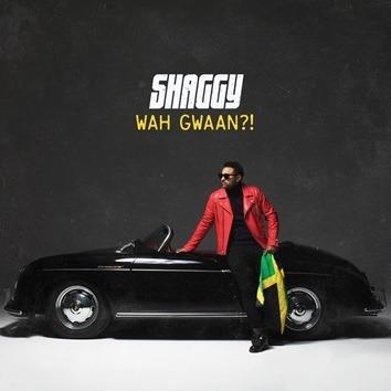 Wah Gwaan?! (Light Green and Yellow Coloured Vinyl) - Vinile LP di Shaggy