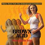 Brown Acid. The Eighth Trip
