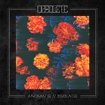 Animate//Isolate