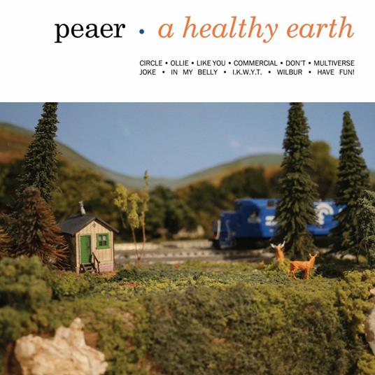 A Healthy Earth - CD Audio di Peaer