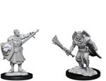 Pathfinder Battles Deep Cuts Unpainted Miniatures Human Champion Male Case (6) Wizbambino