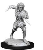 Magic The Gathering Unpainted Miniature Kaya Case (6) Wizbambino