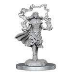 D&d Nolzur''s Marvelous Miniatures Unpainted Miniatures 3-pack Dark Spellcaster & Flameskulls Wizbambino