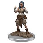 Pathfinder Battles Deep Cuts Unpainted Miniatures 2-packs Half-elf Monk Female Case (2) Wizbambino