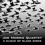 Cloud of Black Birds