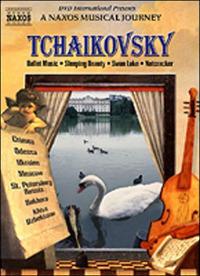Pyotr Ilyich Tchaikovsky. Symphony No. 6. A Naxos Musical Journey (DVD) - DVD di Pyotr Ilyich Tchaikovsky,Antoni Wit