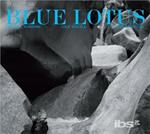 Blue Lotus