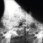 Asunder, Sweet and Other Distress - Vinile LP di Godspeed You Black Emperor