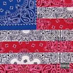 All-Amerikkkan Bada$$