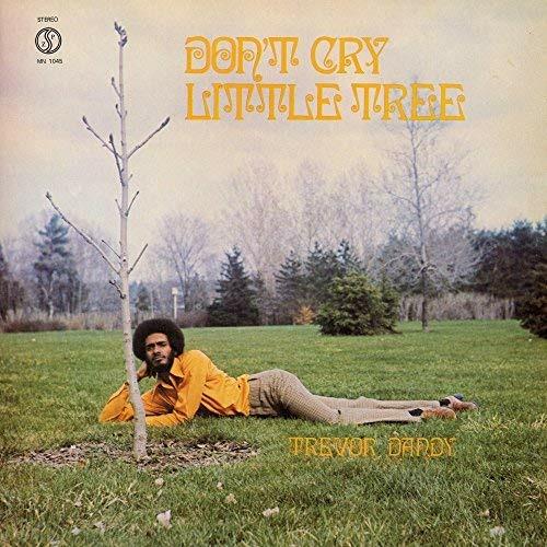 Don't Cry Little Tree - Vinile LP di Trevor Dandy