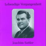 Joachim Sattler