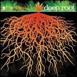 The Best of Deep Root