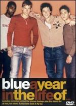 Blue. A Year In The Life Of Blue (DVD)