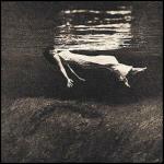 Undercurrent - CD Audio di Bill Evans,Jim Hall