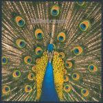 Expecting to Fly - CD Audio di Bluetones