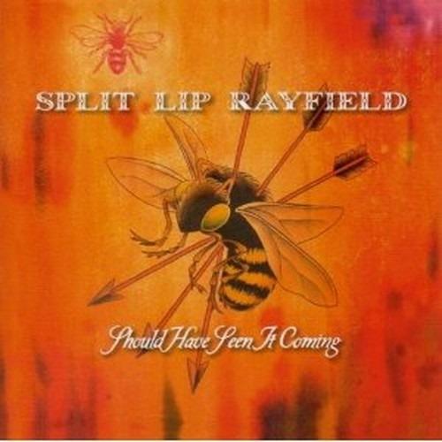 Have you Seen it Coming? - CD Audio di Split Lip Rayfield