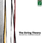 The String Theory