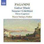 Sonate n.4, n.6, n.14, n.30 - Grand Sonata - Capricci n.5, n.11, n.24 - CD Audio di Niccolò Paganini,Marco Tamayo