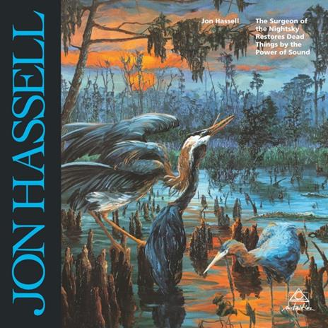 Surgeon Of The Nightsky - Vinile LP di Jon Hassell