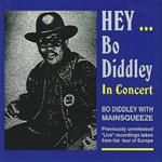 Hey.bo Diddley