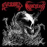 Avulsed / Mercyless