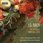 Six Sonatas BWV 1014-1019