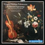 The Last Orchestral Works - Schwanengesang